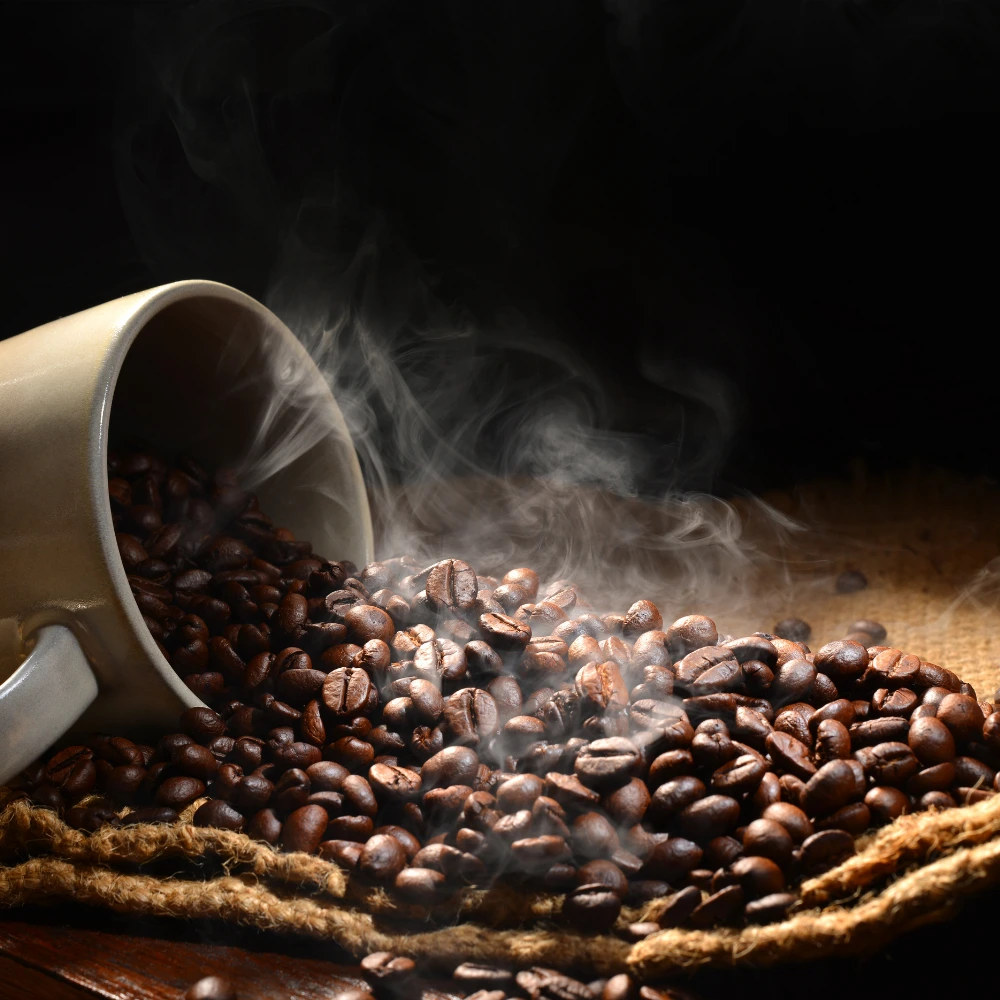 Brewing methods using Lavazza coffee in an office setting.
